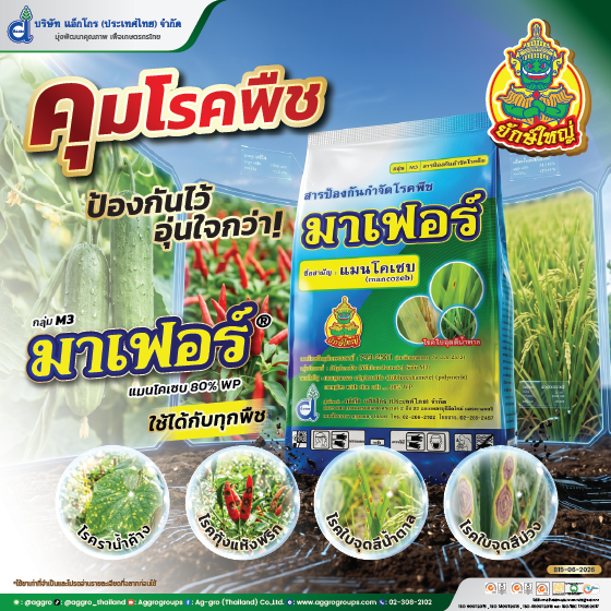 มาเฟอร์